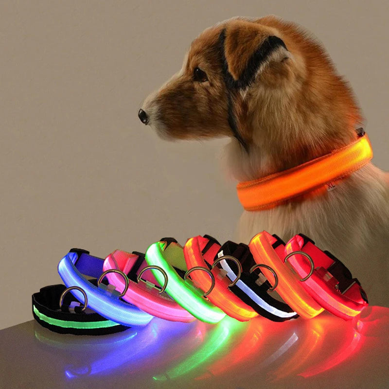 LED Dog Collar/Anti-lost Collar For Dogs Puppies