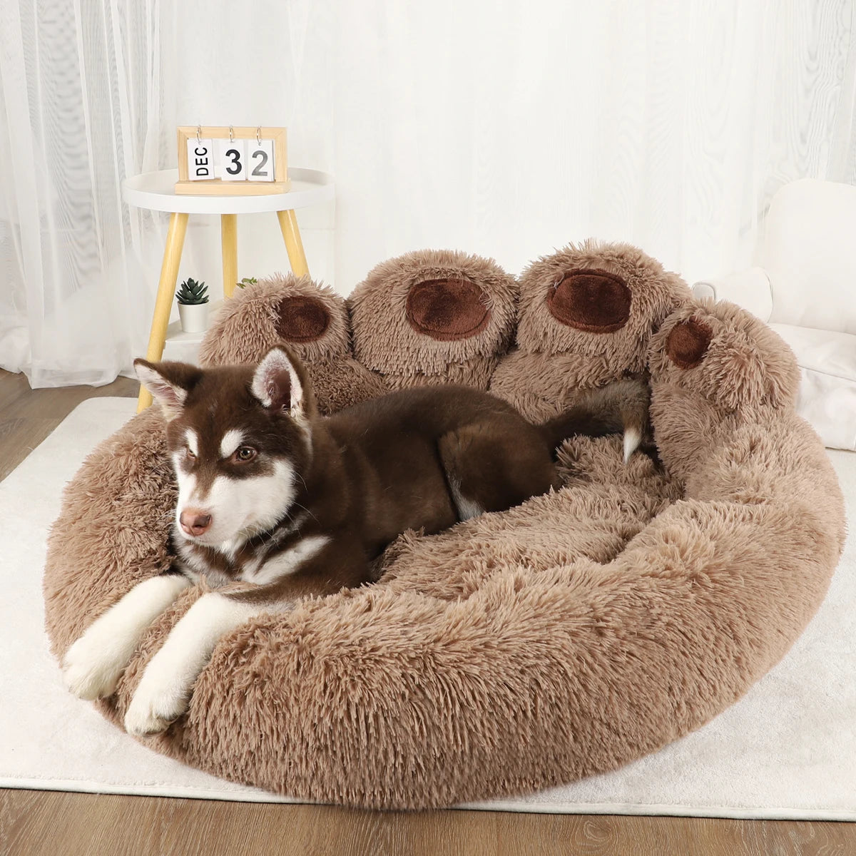 Fluffy Sofa for Pets